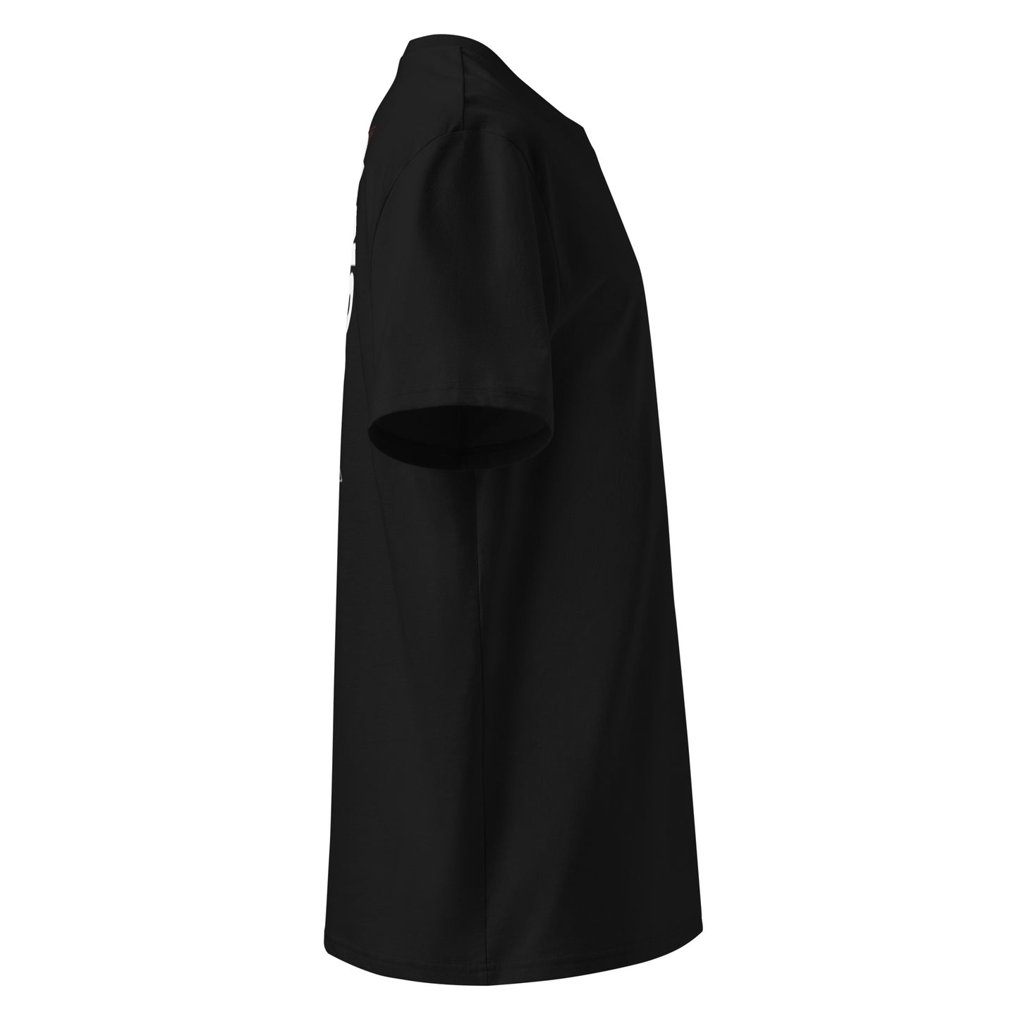 T-006 (Regular Fit)